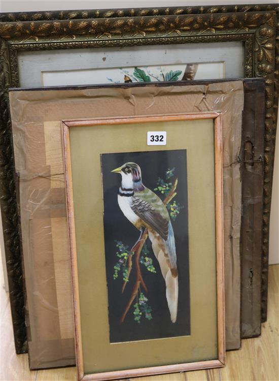 Five assorted watercolour and feather pictures of birds, largest 41 x 30cm